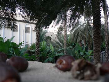 Oman 078