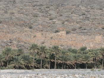 Oman 188