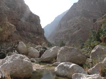 Oman 293