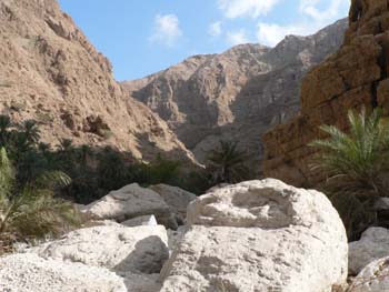 Oman 294