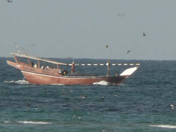 Oman 459