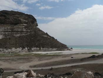 Oman 599