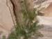 Oman 358